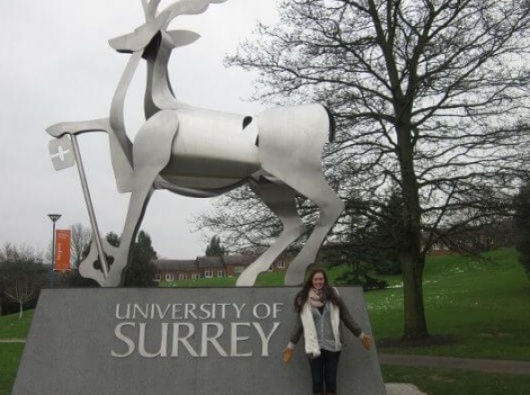 University of Surrey английский