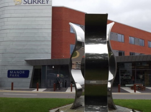 University of Surrey английский