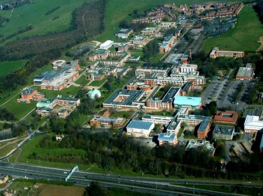 Bede’s University of Sussex английский