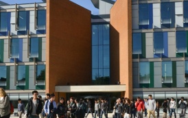 Высшее образование University of Sussex