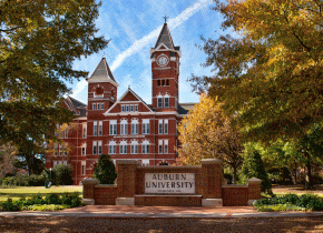 Высшее образование Auburn University